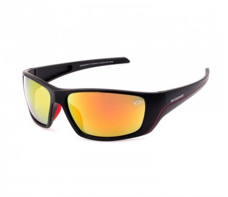 Swisssport Sunglasses - Gold Tag SW284