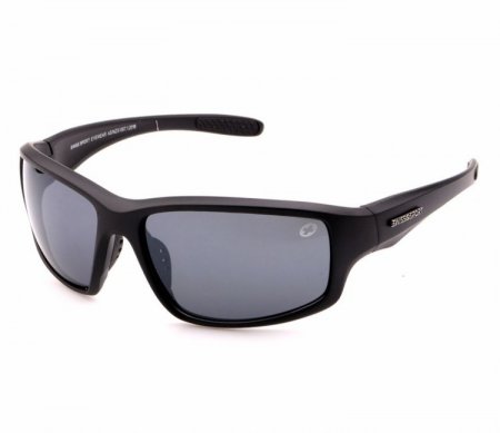 Swisssport Sunglasses - Gold Tag SW286