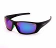 Swisssport Sunglasses - Gold Tag SW284 Swisssport Sunglasses - Gold Tag SW284