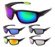 Swisssport Sunglasses - Gold Tag SW286  Swisssport Sunglasses - Gold Tag SW286